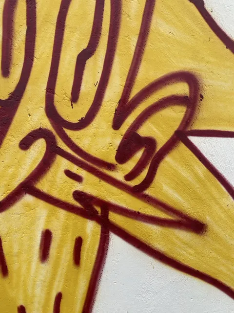 Textures of Santa Teresa photograph 19